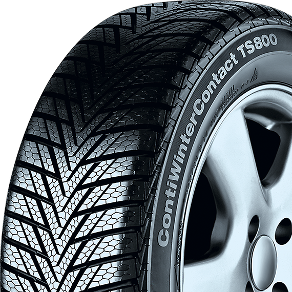 ContiWinterContact™ TS 800