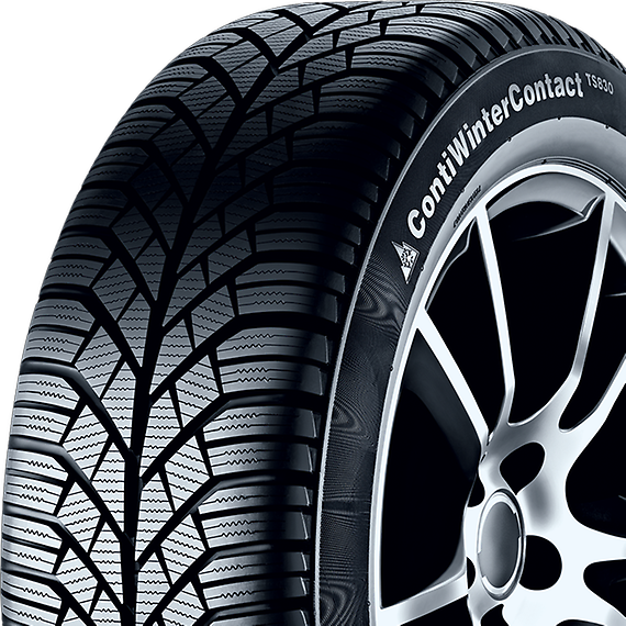 ContiWinterContact™ TS 830