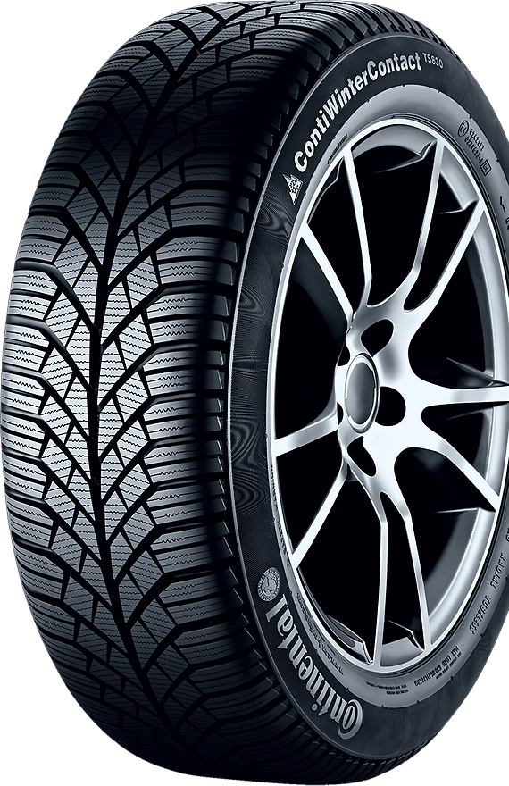 ContiWinterContact™ TS 830